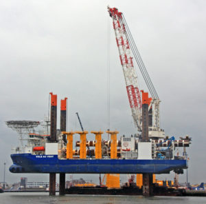 Image of Vole au vent